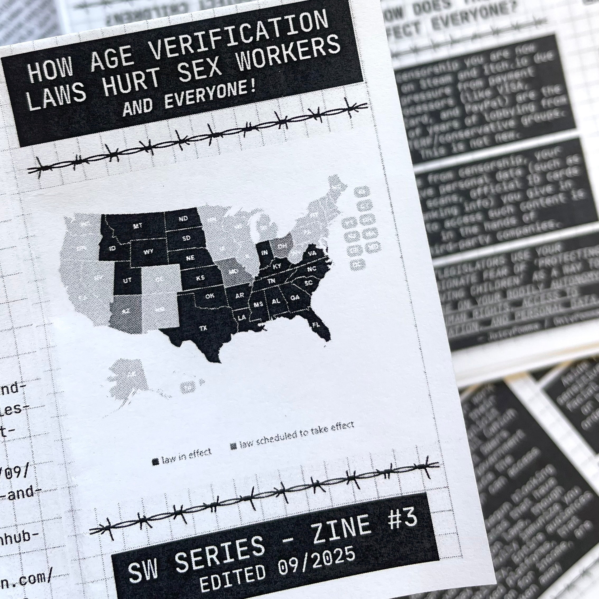Age Verification Laws Zine (DSW #3) – Mestiza Makes
